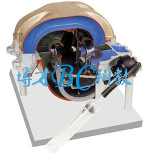 感應開關系統(tǒng)解剖模型